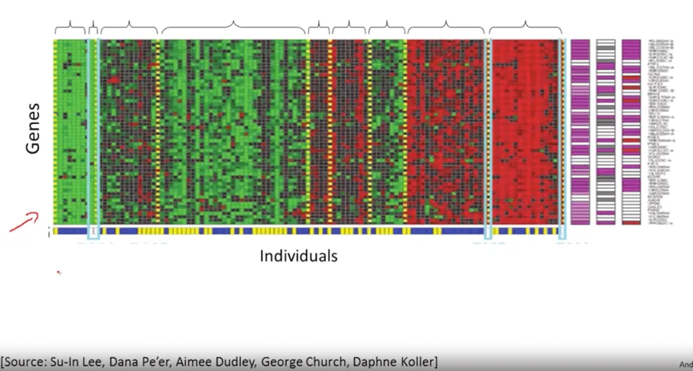 Grouping individuals based on gene expression