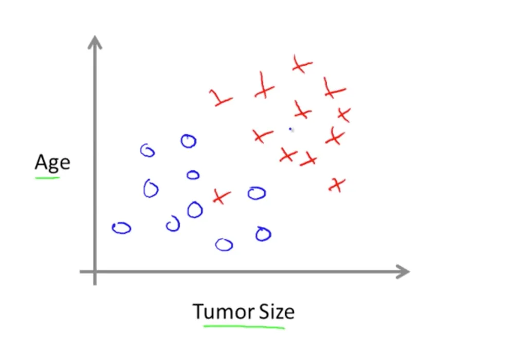 Tumor data with two features: age and tumor size