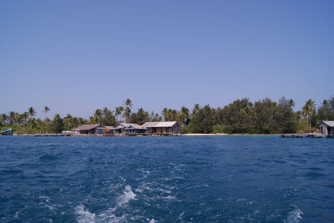 Pulau Menjangan Besar. (Sumber Wikimedia Commons oleh Midori)