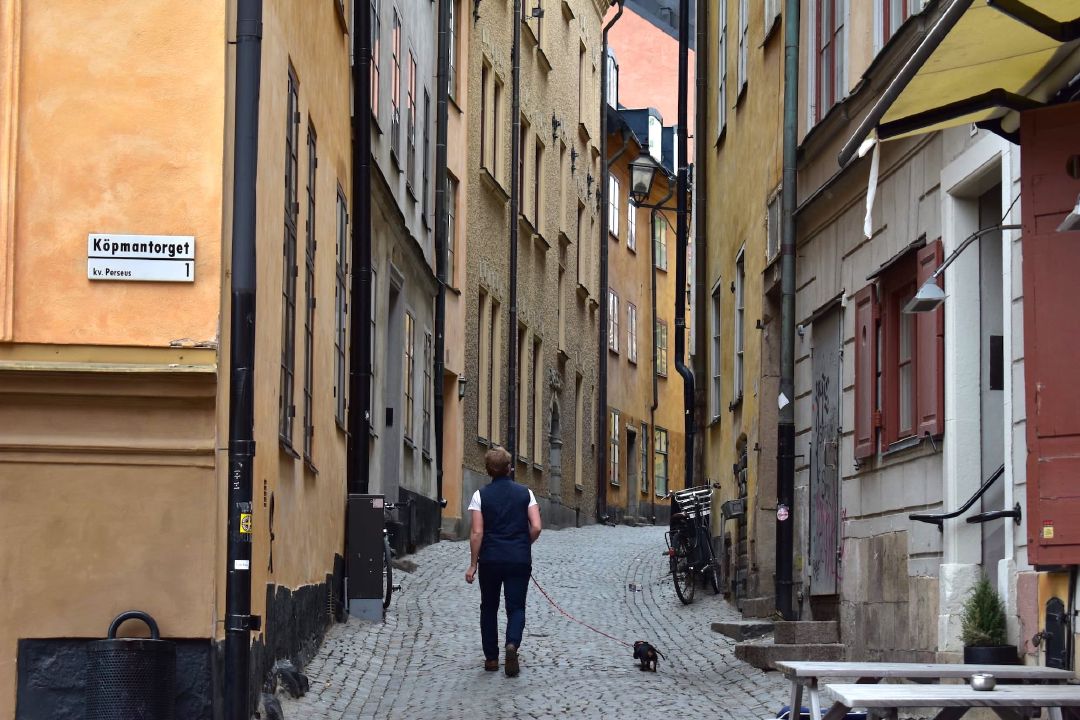 Seorang warga tengah membawa anjingnya jalan-jalan di Baggensgatan.