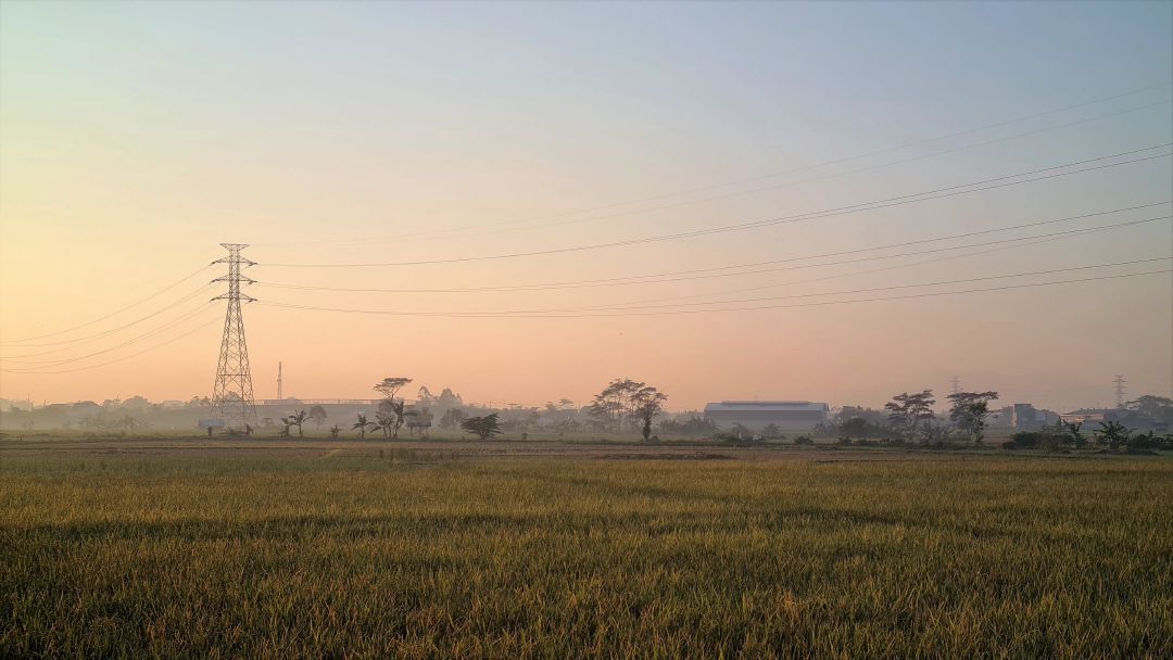 Area pesawahan di Jalan Terusan Nanjung.
