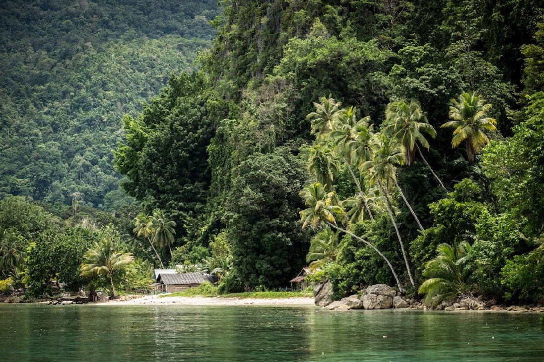 Indahnya alam Negeri Saleman. (Dari Flickr oleh Maurice Weststrate)