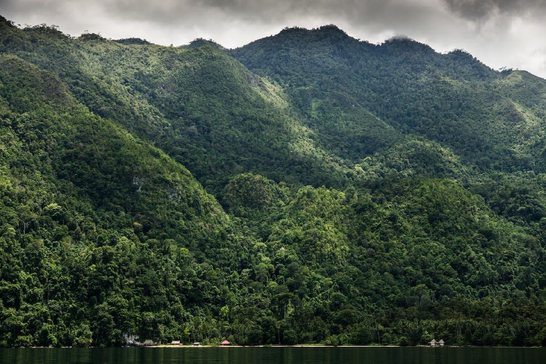 Negeri Saleman yang terlindungi bukit-bukit hijau. (Dari Flickr oleh Maurice Weststrate)