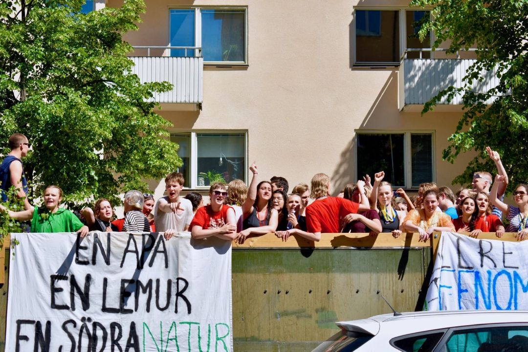 Pantun à la siswa Swedia: En Apa En Lemur En Södra Natur.